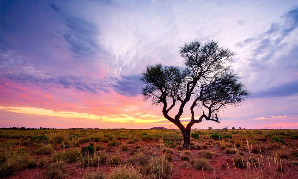 A sunset outback scene near Port Hedland