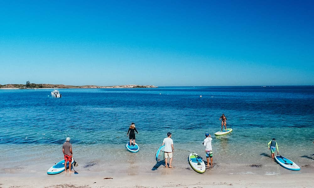 Image of surfers along the beach
