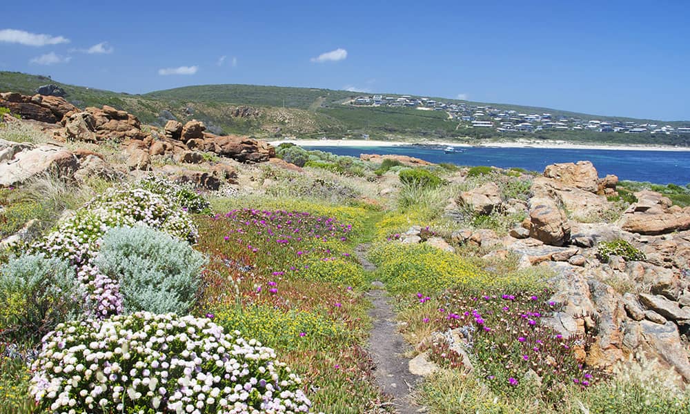 Image of town at Gracetown