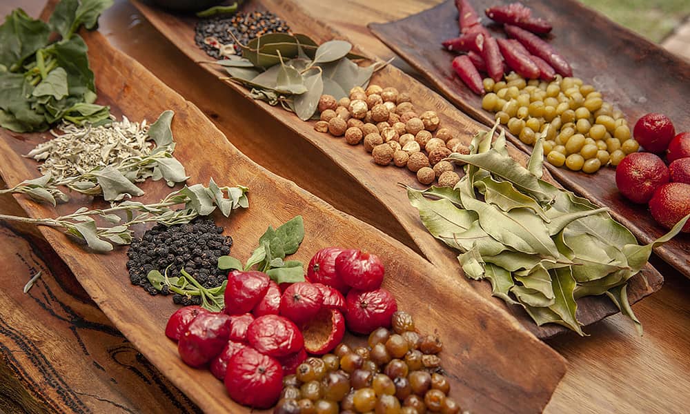 A selection of bush tucker fruits and vegetables