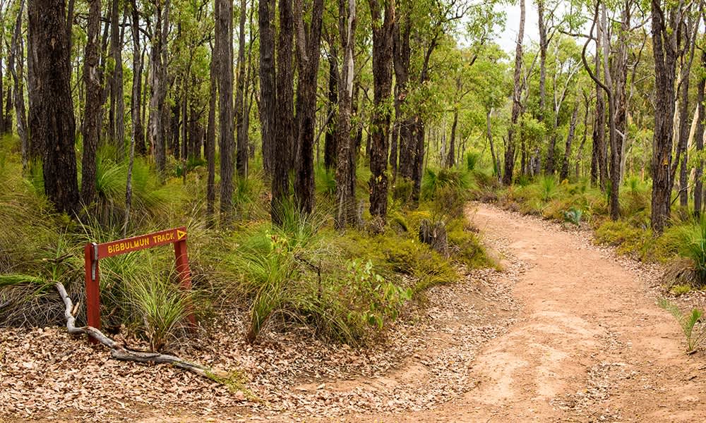Dirt path with sign saying 'Bibbulmun Track'.