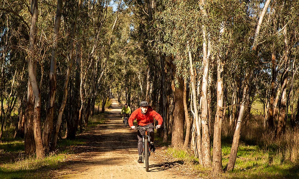 Mountain bike rider on a trail