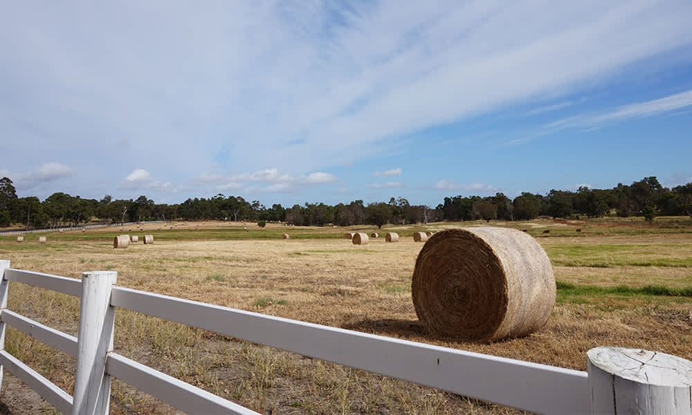 Image of an empty field