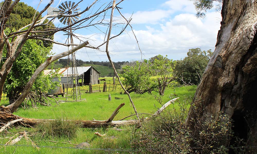 TT_harvey_farm