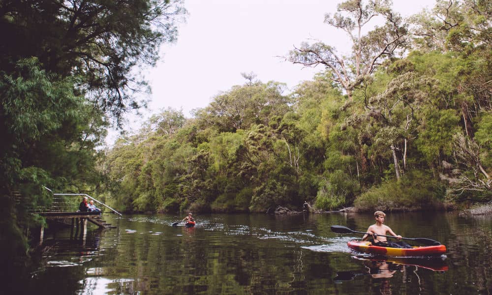 Kayaking on the Warren River, Pemberton