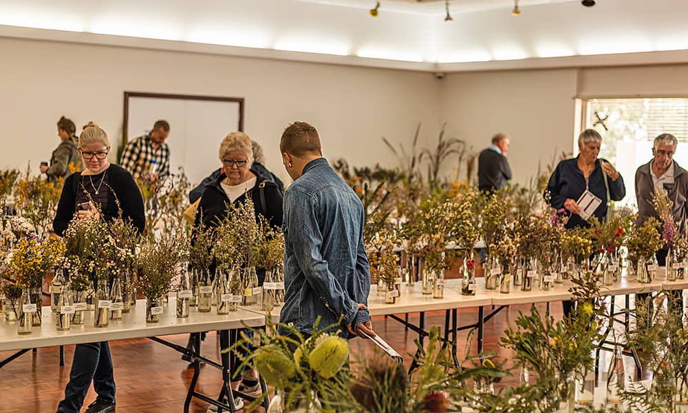People inspect many wildflower species on a long table
