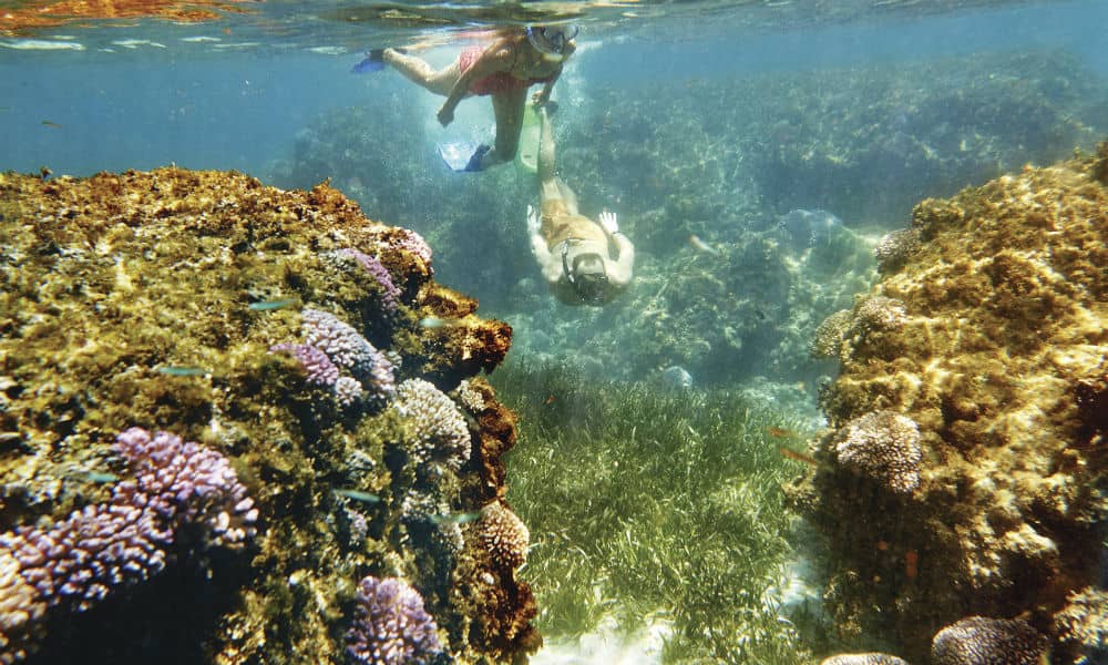 Snorkelling at Rottnest Island