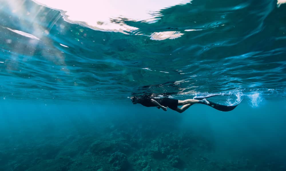 Image of snorkeller in Esperance
