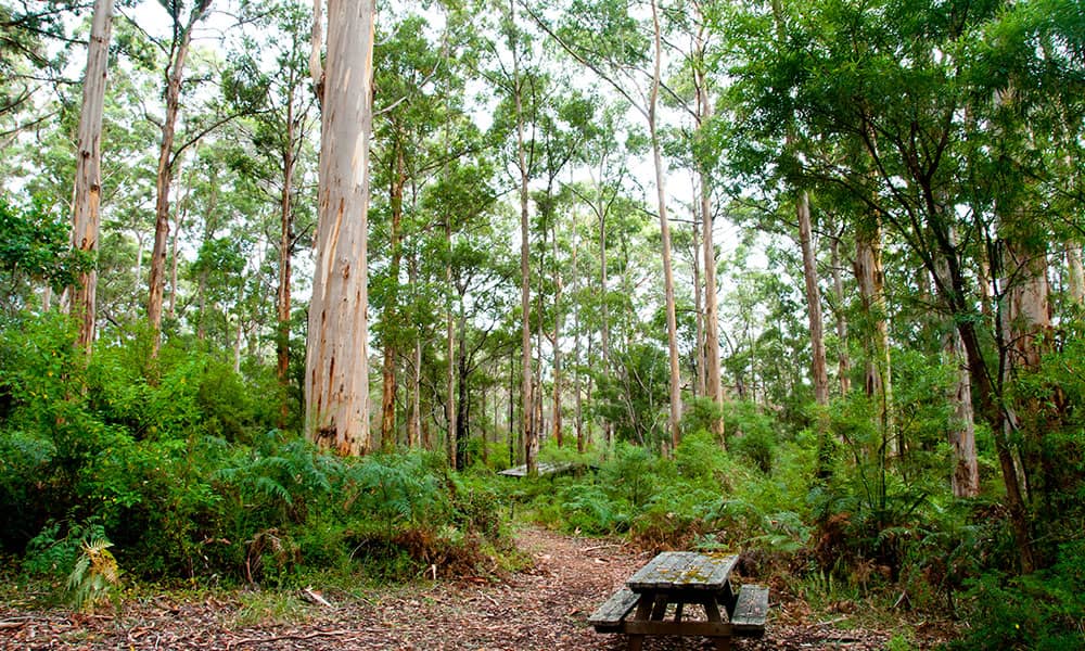 Gloucester National Park