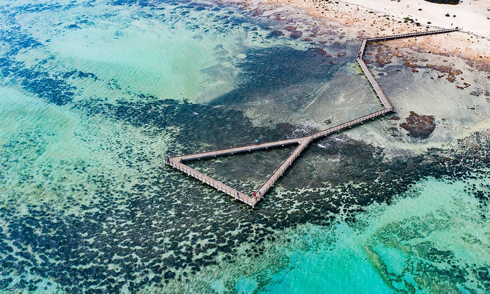 Image of stromatolites