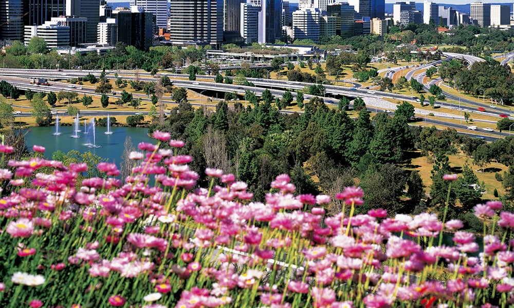 Kings Park flowers