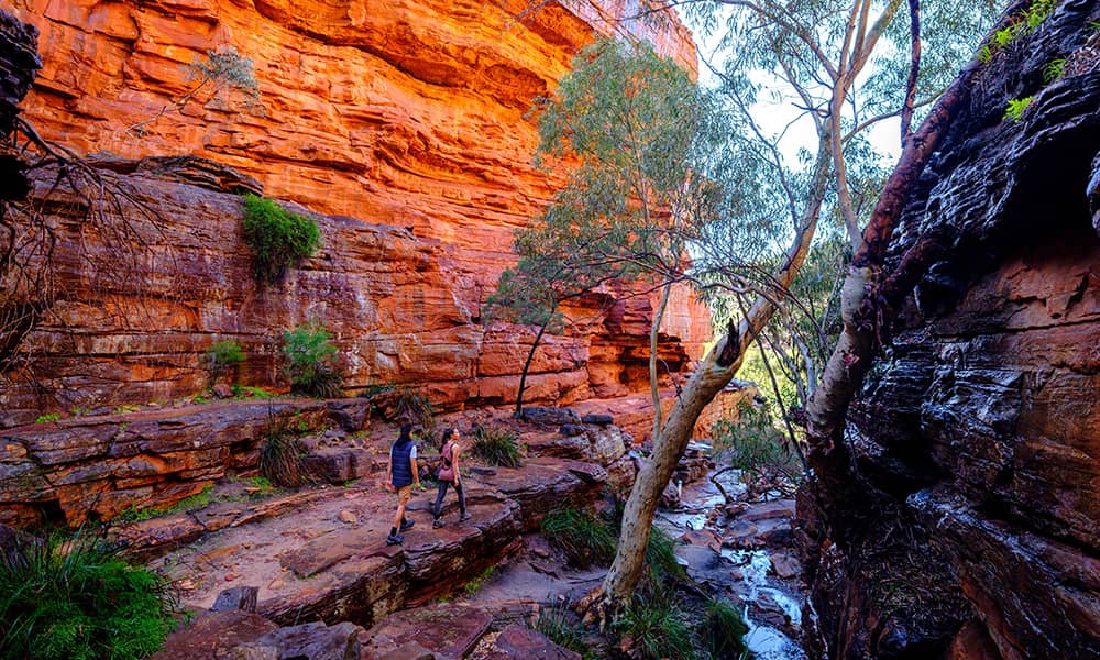 Couple hiking through a gorge