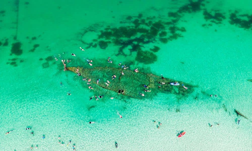 Aerial view of people snorkelling around the Omeo shipwreck