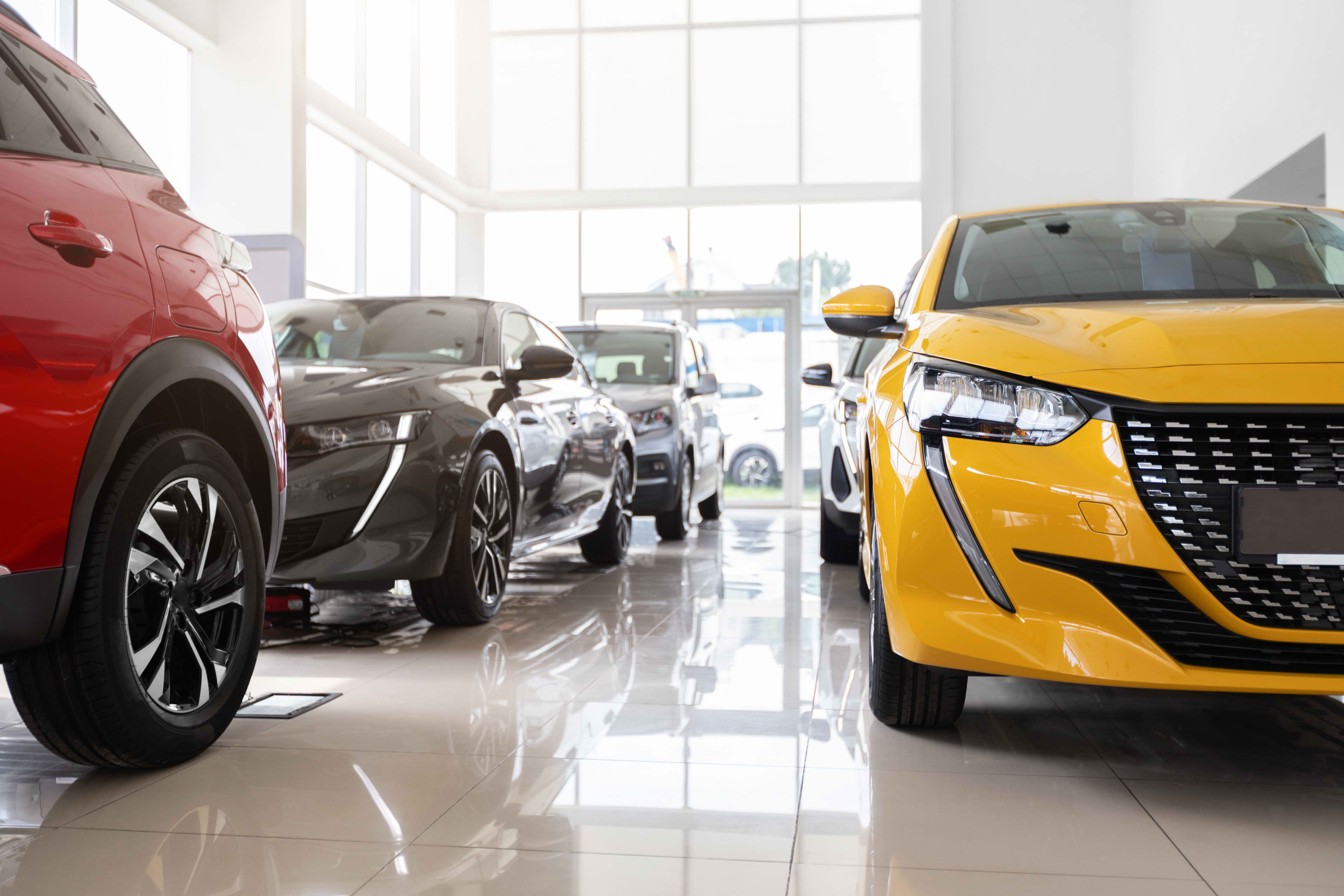 Luxury cars inside a car showroom