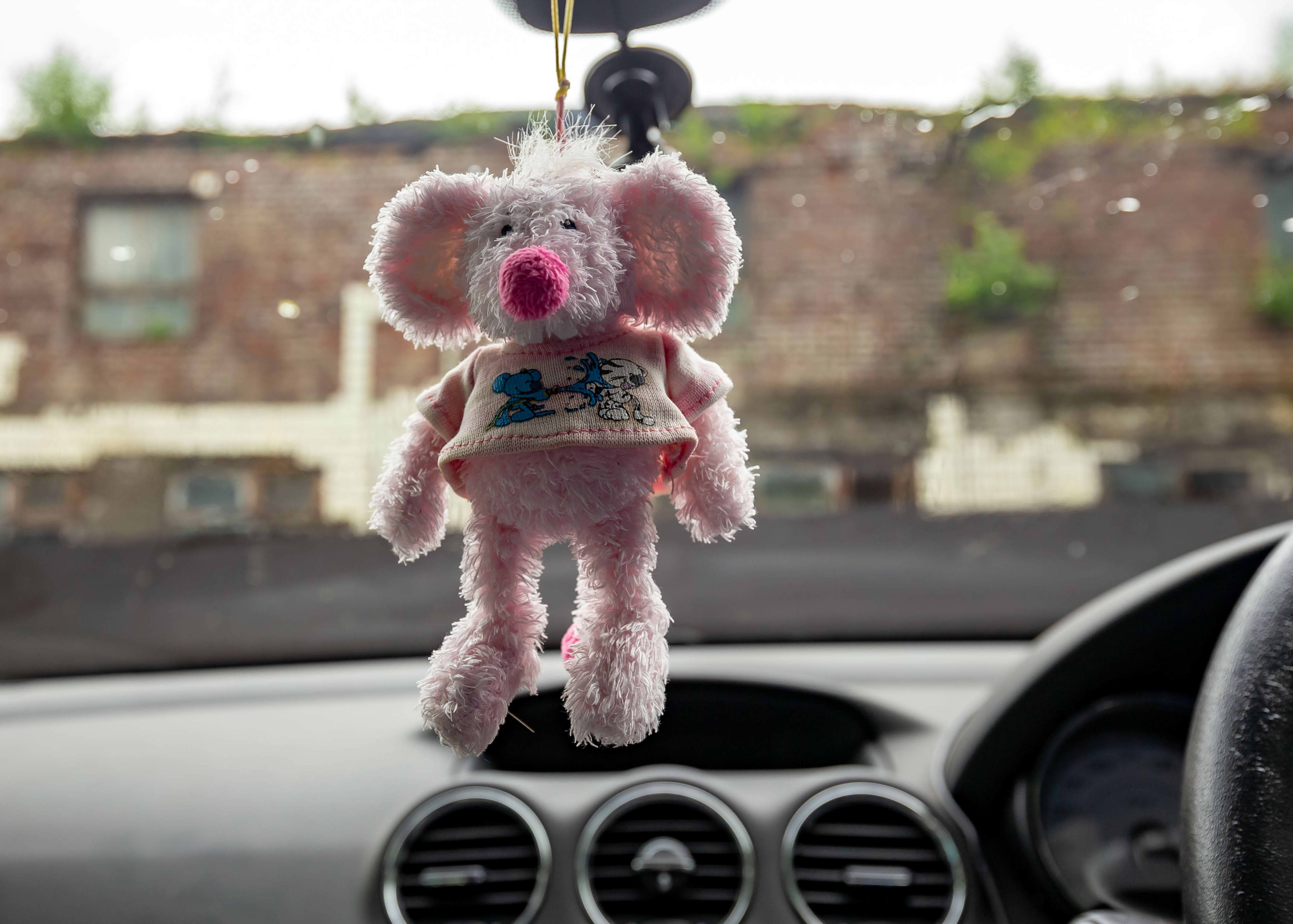 A pink fluffy toy bear hanging from a rearview mirror