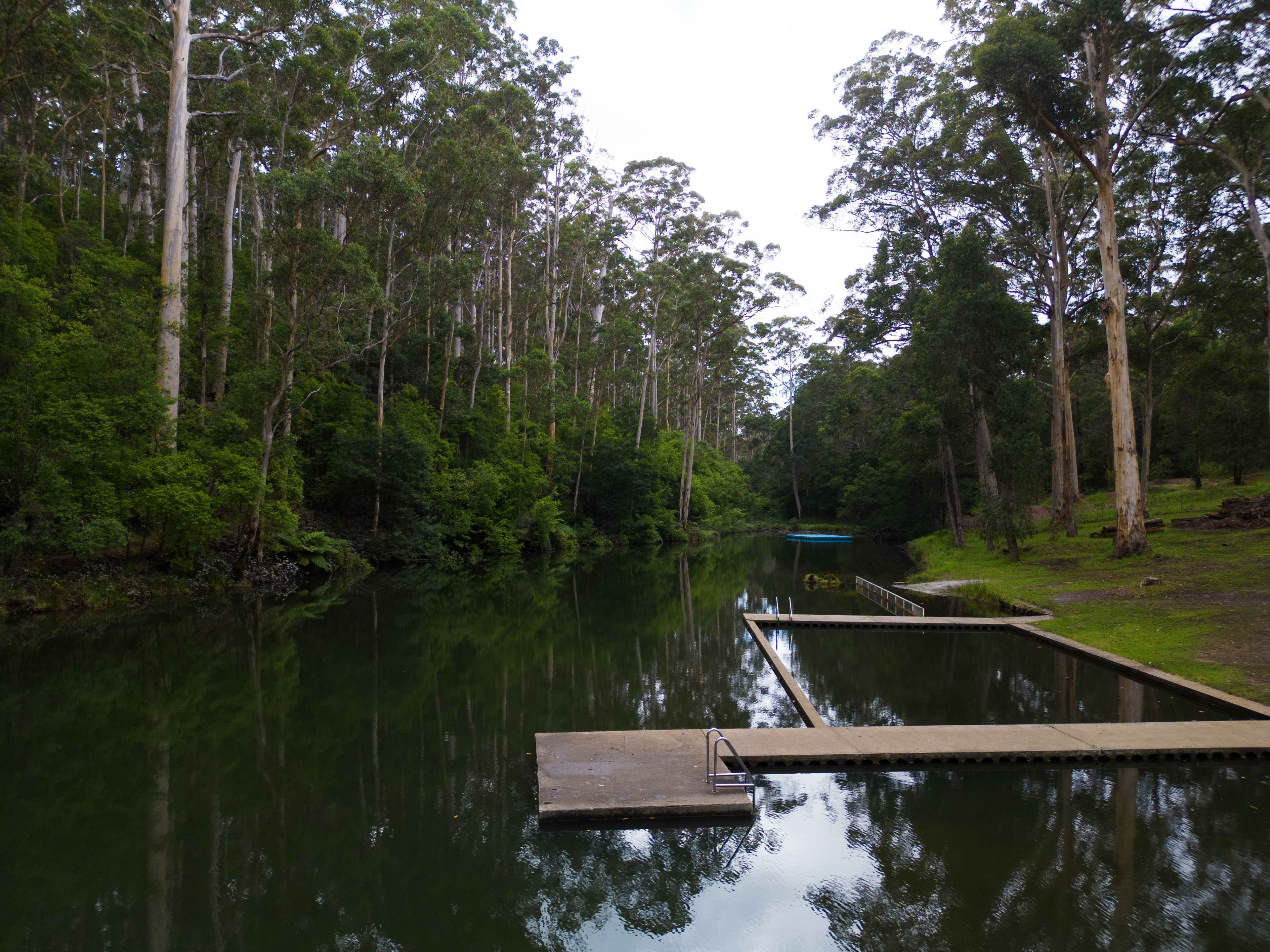 Lush green surrounds of Pemberton Pool with jetty and diving area into natural swimming pool surrounded by trees