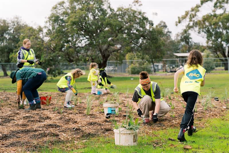 Group of kids and adults planting trees in a park