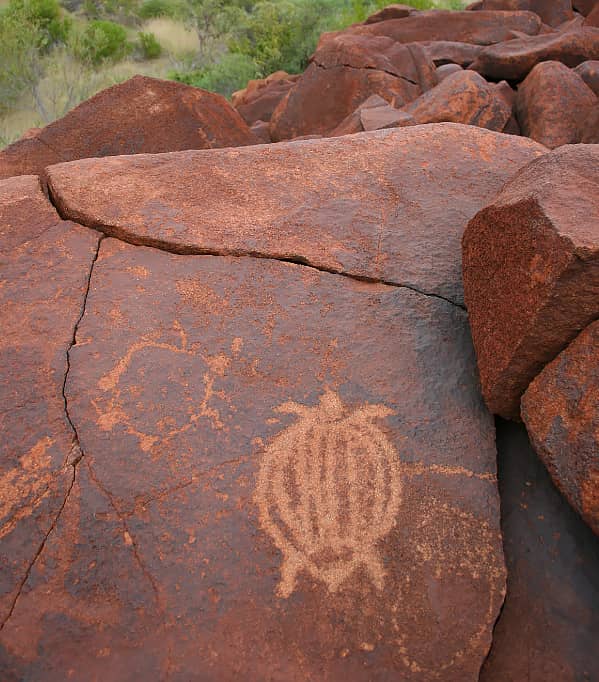 A turtle image carved into rock at Murujuga