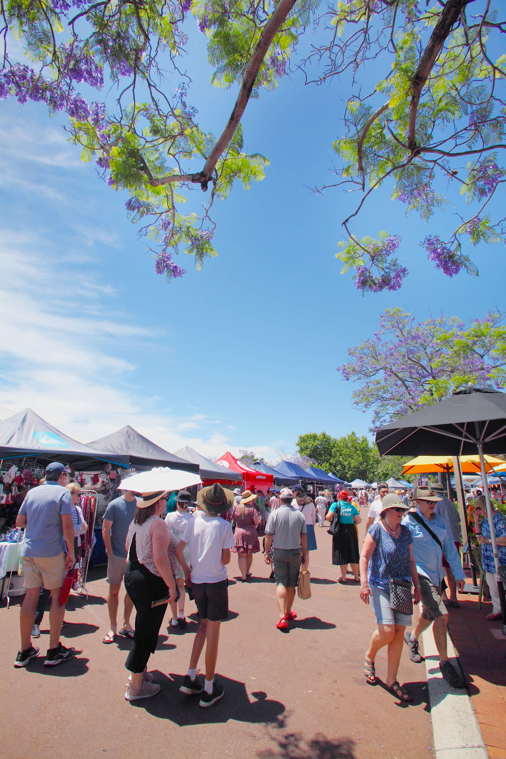 Jacaranda trees frame stalls and people browsing through various marquees