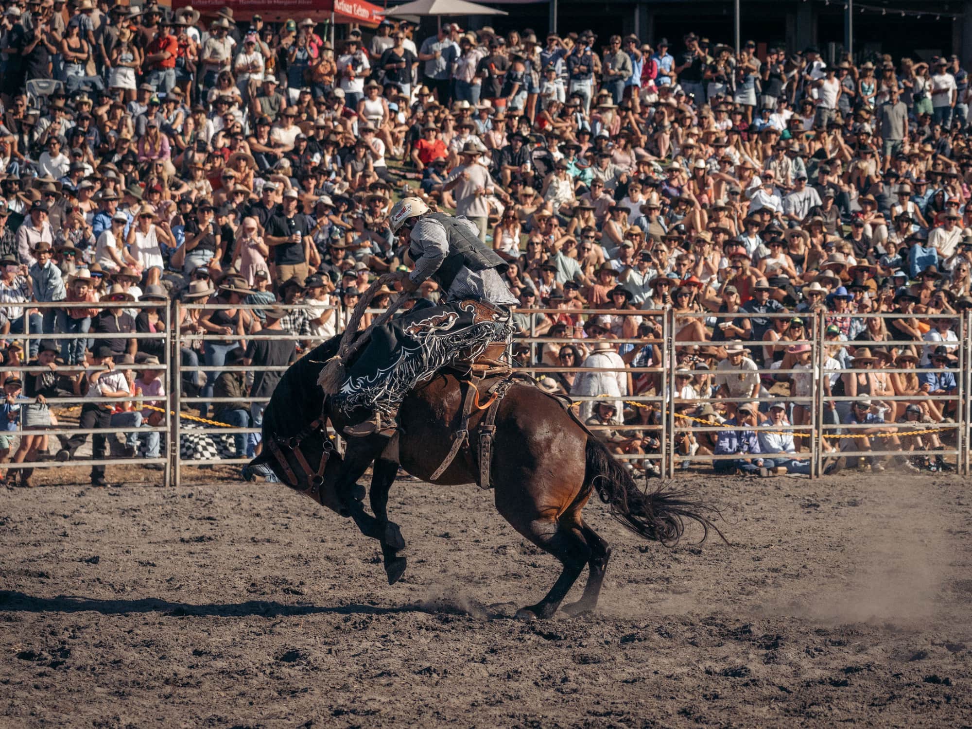 Crowd seated watching rodeo event