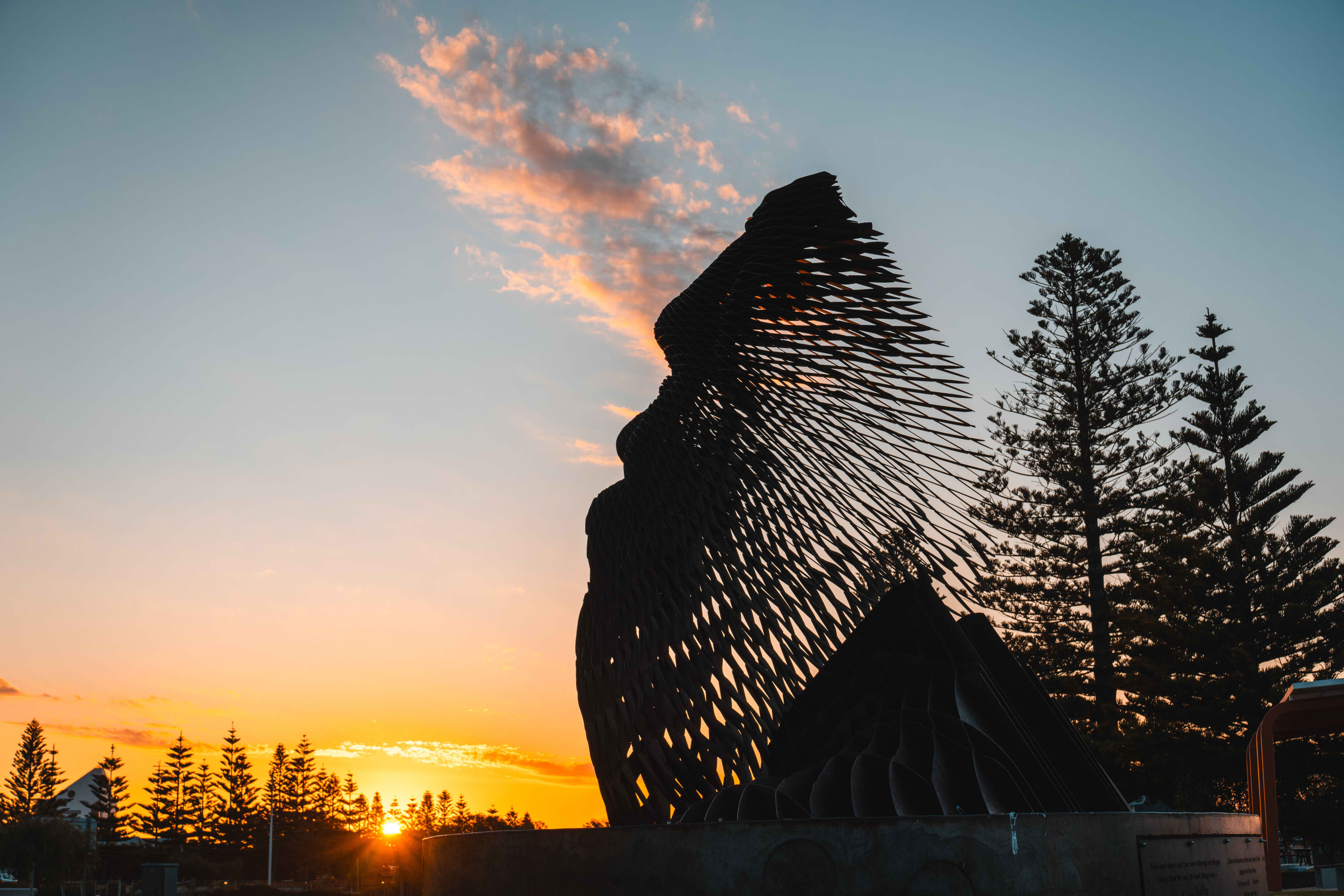 A sunset with a metal sculpture representing a Noongar man, with towering pine trees in the background.