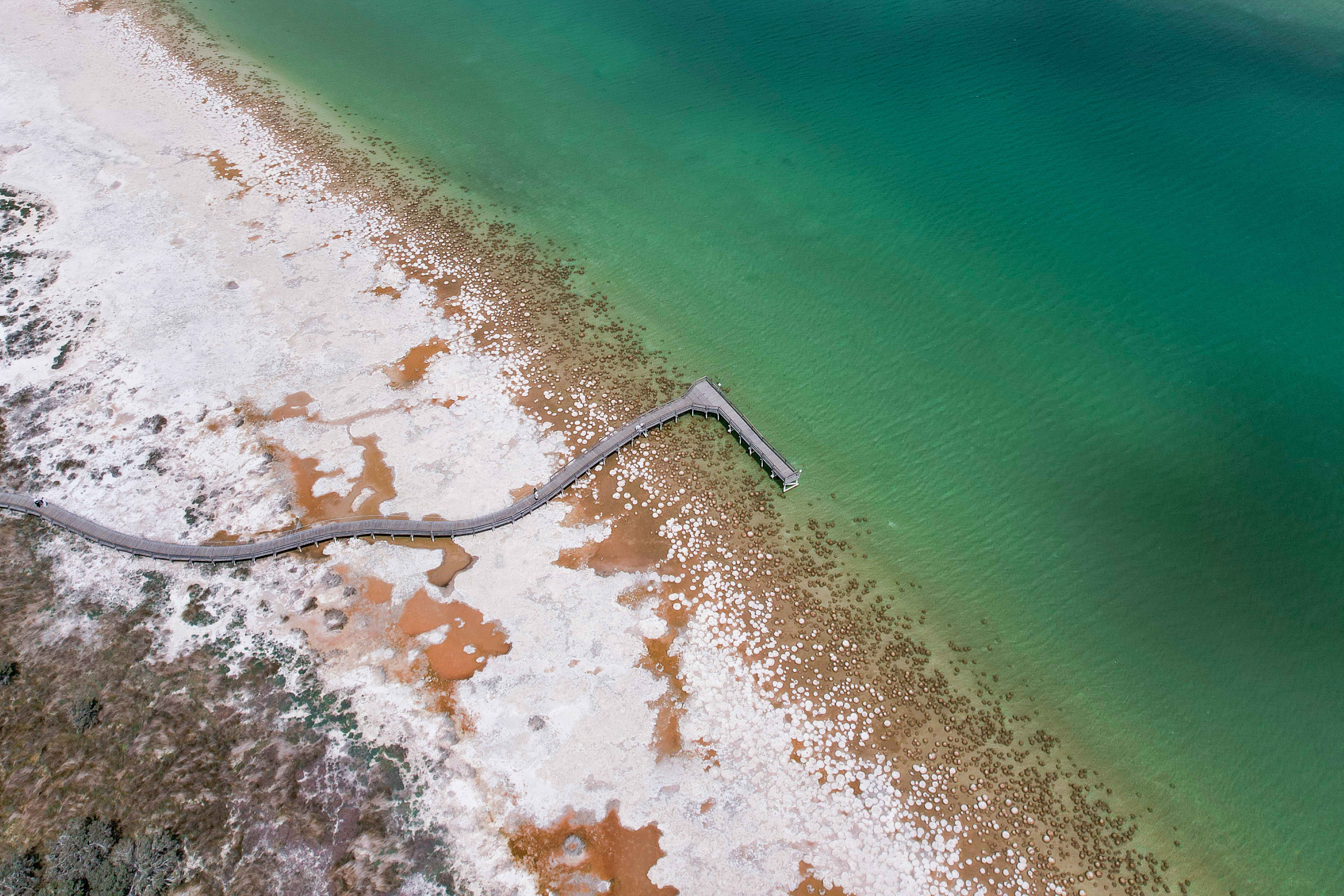 A large estuary filled with thrombolites and a long wooden boardwalk stretching out over the water.