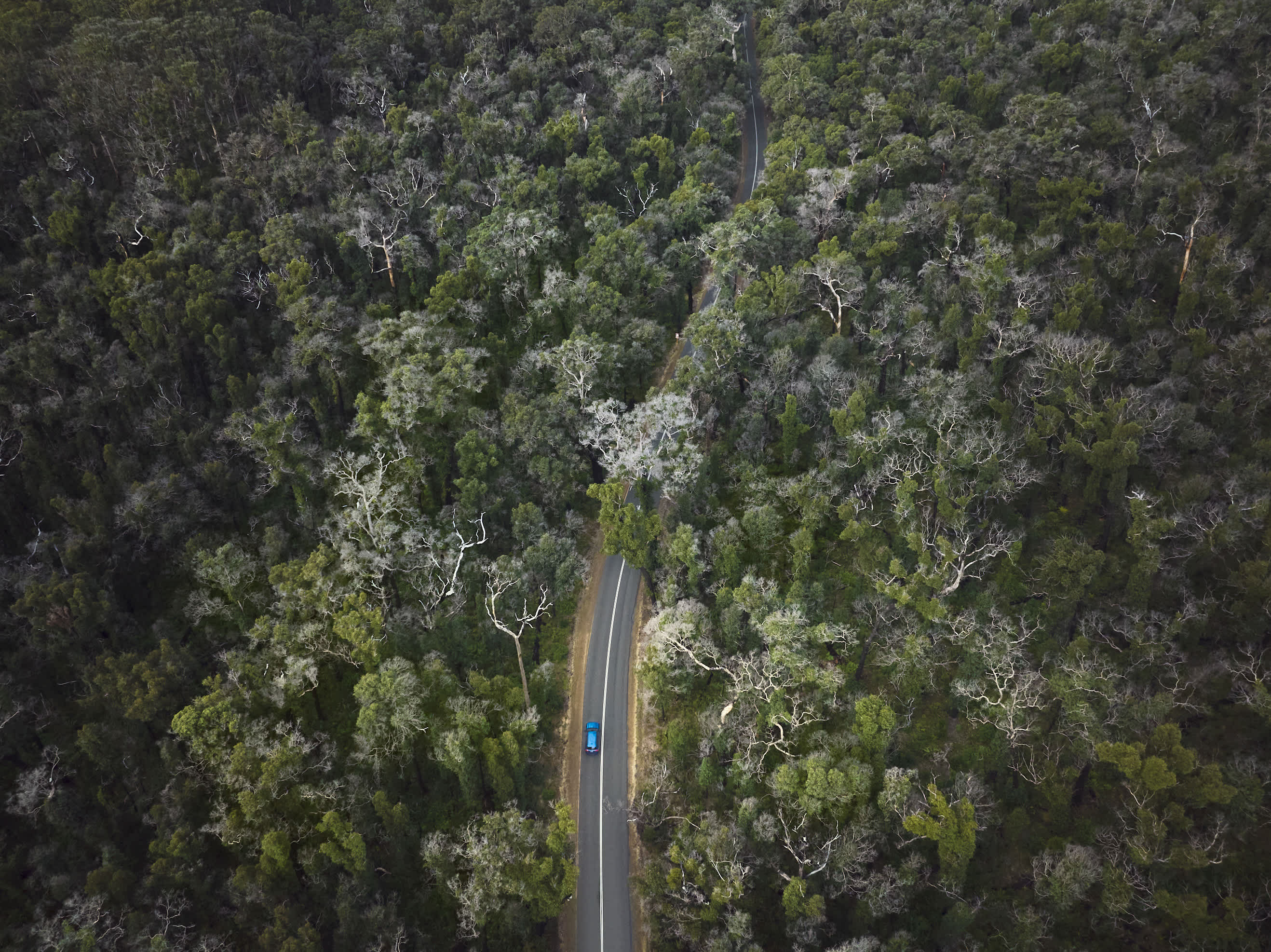 Aerial view of a winding two-lane road cutting through a dense forest, with a small blue car driving along the centre of the tree-covered landscape.
