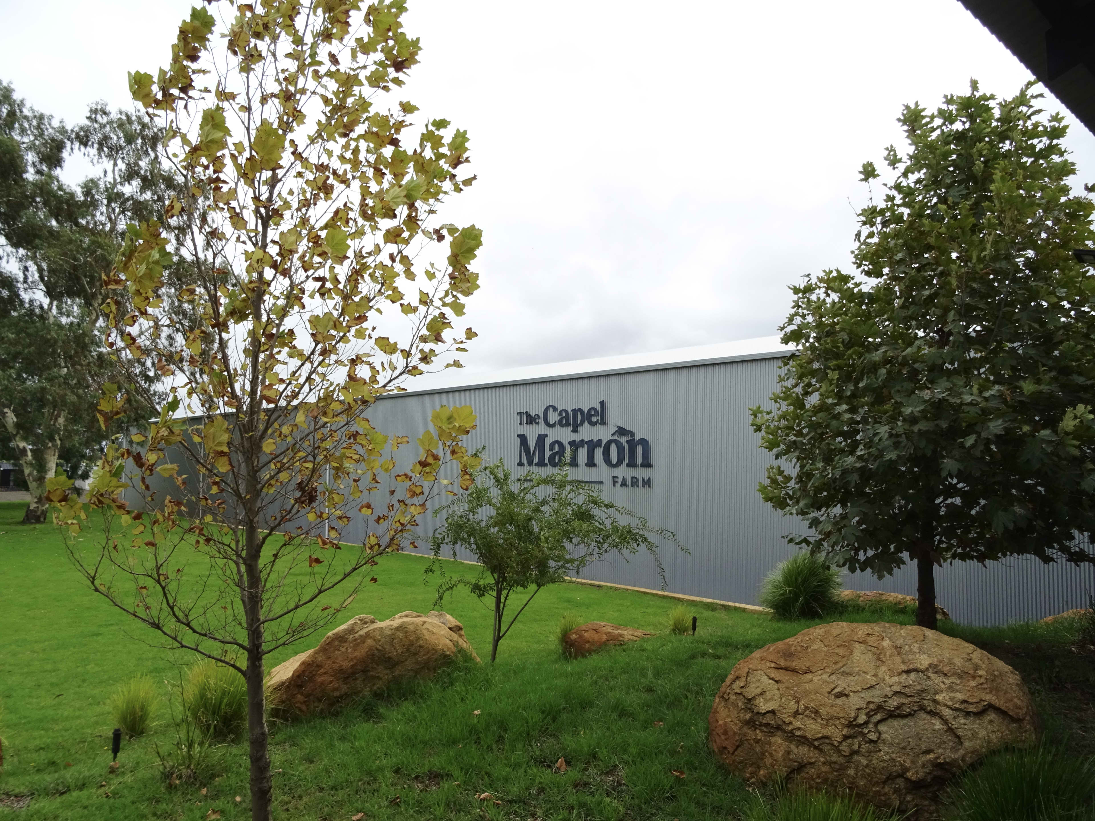 A ground-level shot of a large, grey corrugated metal building with the words "The Capel Marron FARM" printed on its side. In the foreground, a grassy slope features large landscape boulders, young trees with green and yellow leaves, and a dense, mature green tree on the right under an overcast sky.
