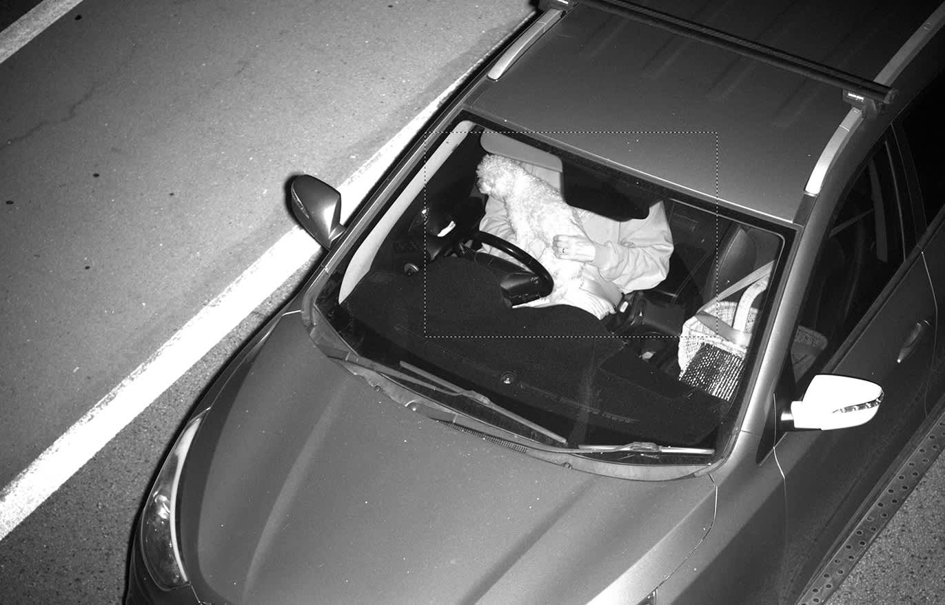 A black and white image from a freeway camera showing a driver with a dog on their lap