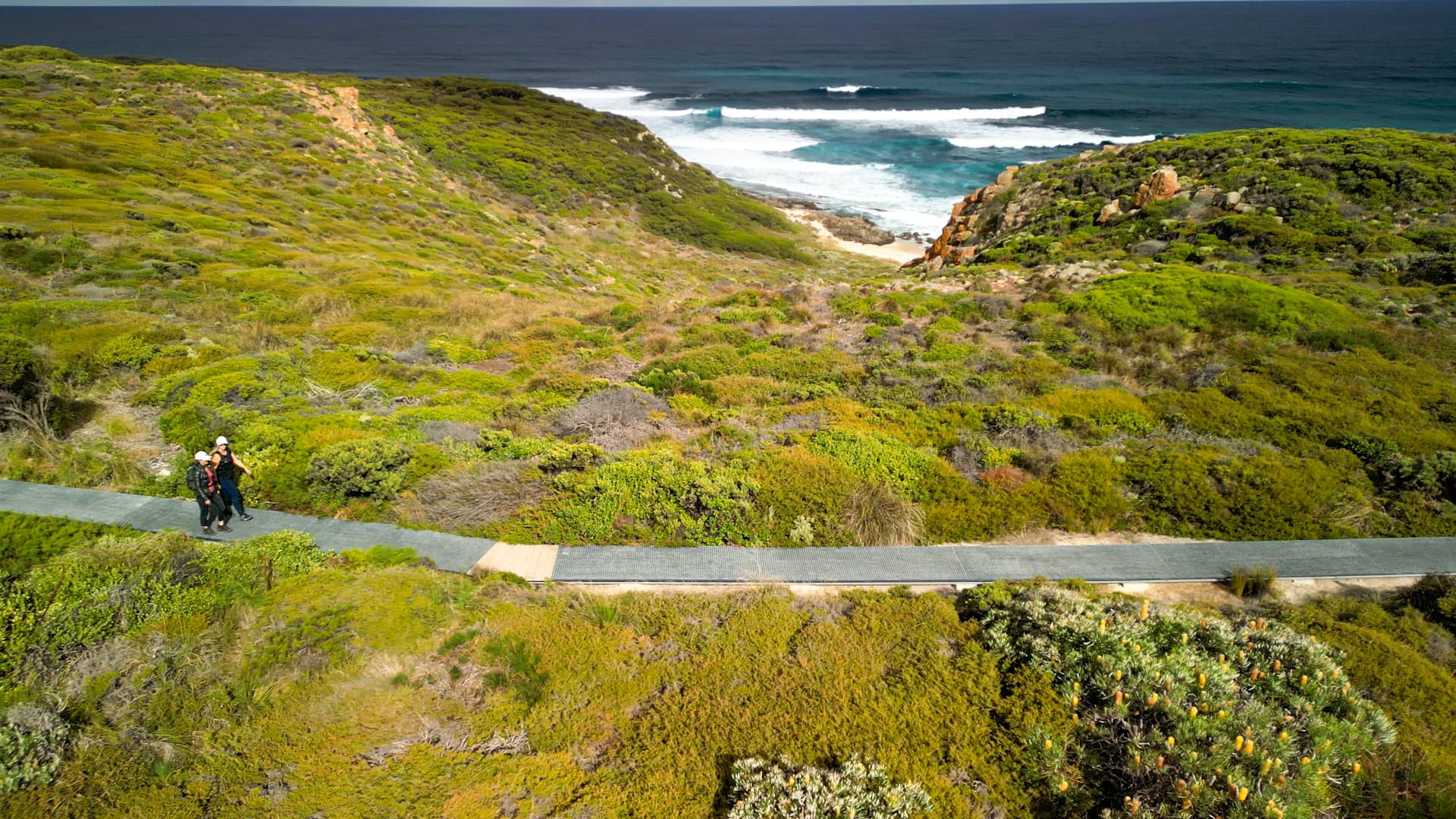 Hikers walking along boardwalk in lush green bushland