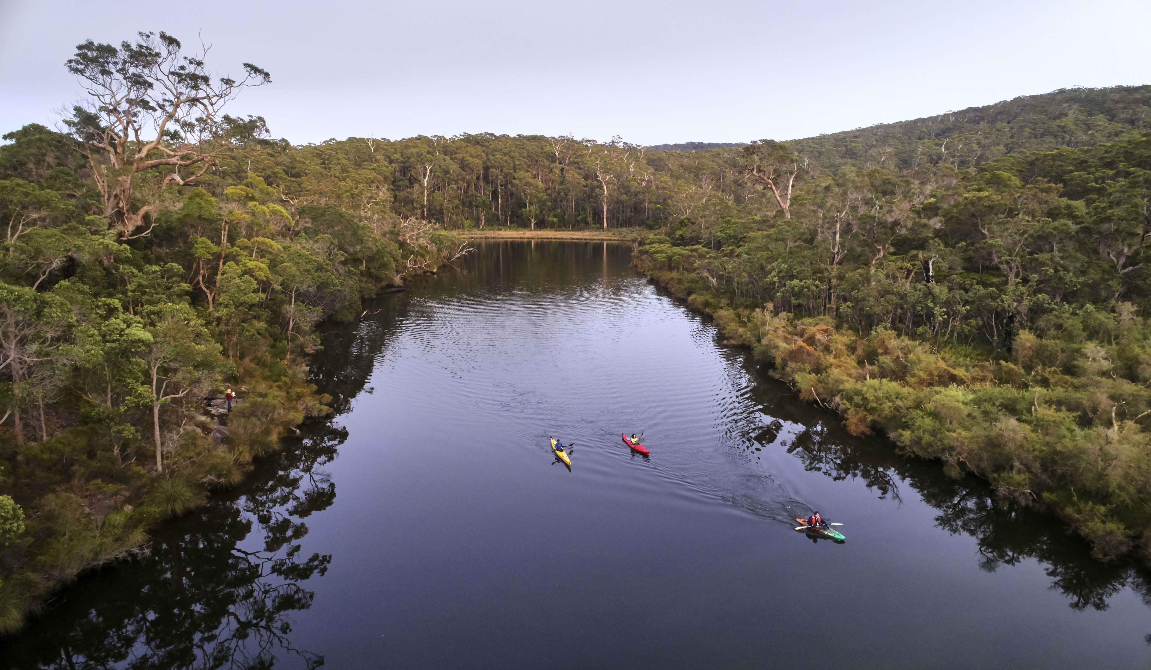 Kayakers paddling on the tree-lined Nornalup Inlet in the Walpole-Nornalup National Park.
