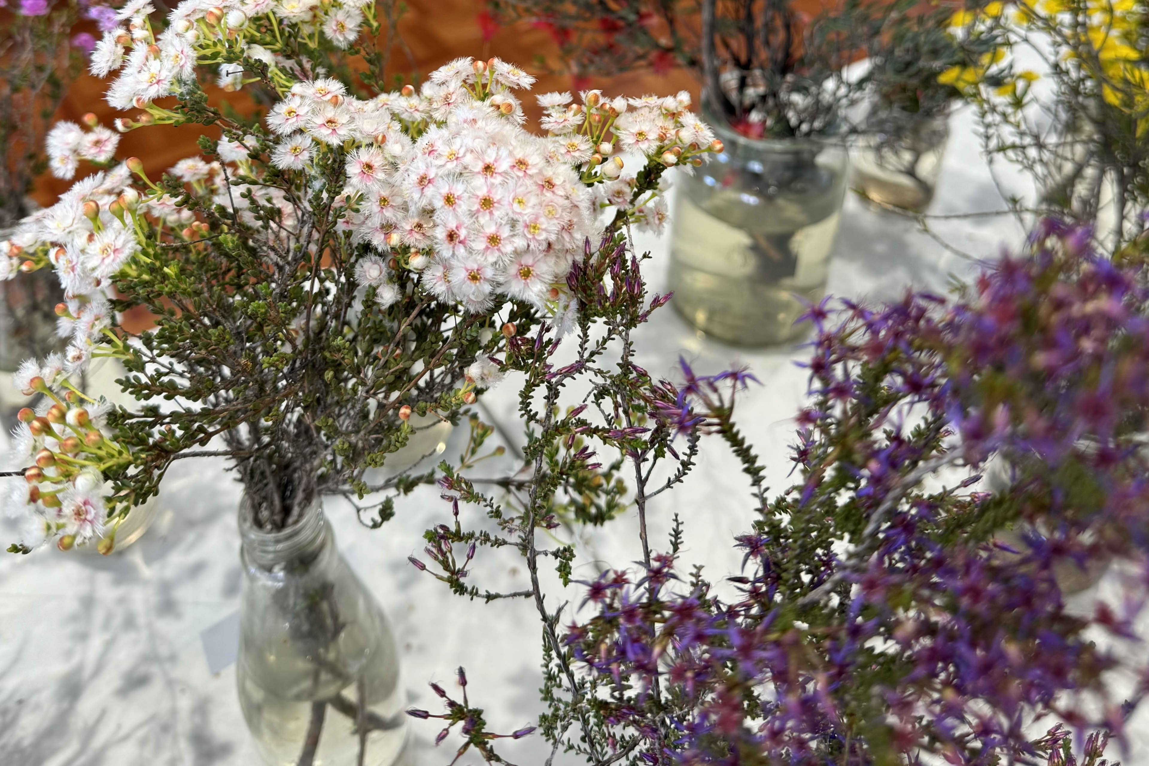 A high-angle, close-up shot shows several small glass vases filled with various native Australian wildflowers resting on a light-colored surface.