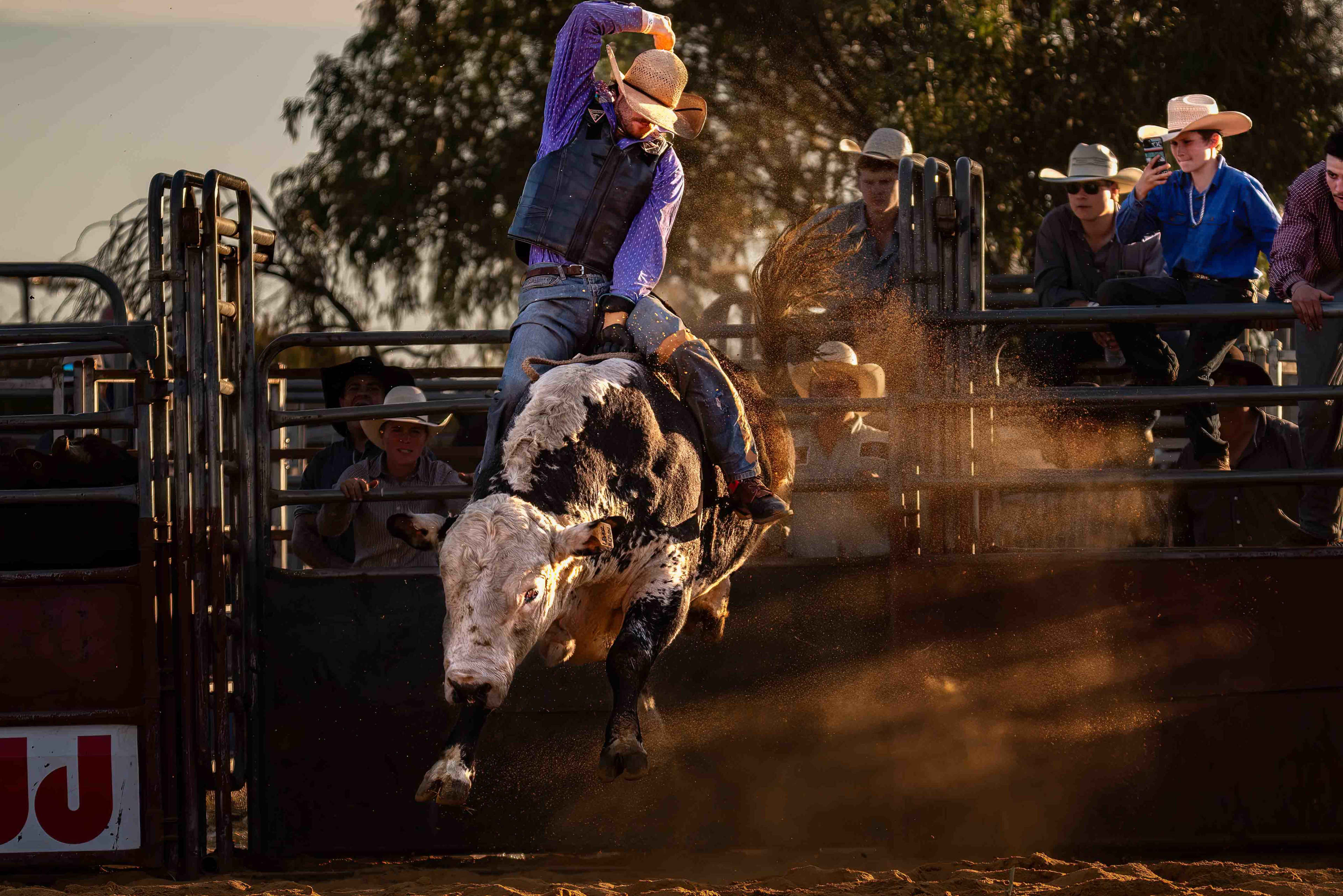 A man wearing a purple polka dot shirt with a straw wide brimmed hat, riding a black and white bull with red dirt and competition stands as the backdrop.