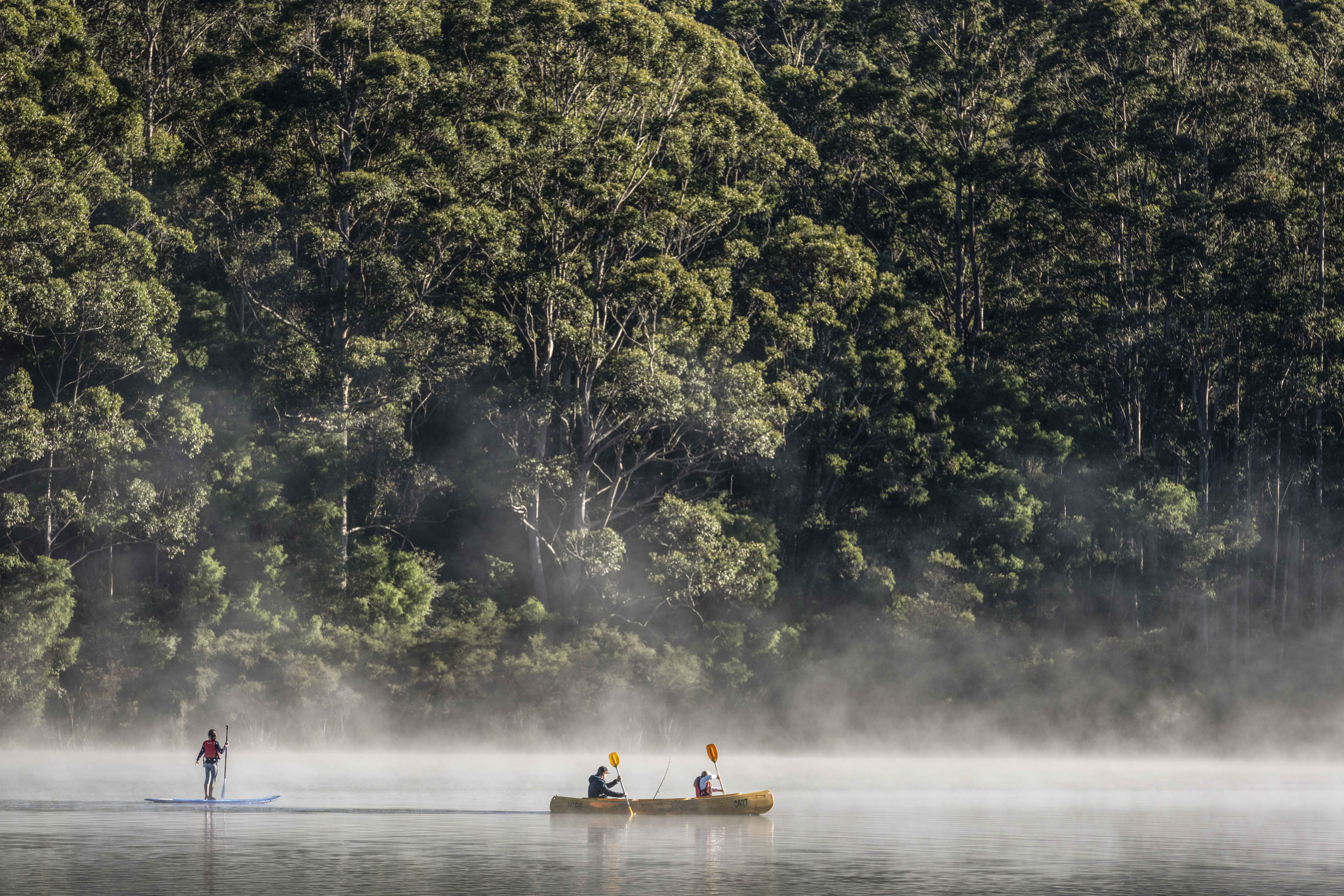 A vast misty lake with tall towering trees in the background, with a stand-up paddleboarder and two people kayaking in the lake.