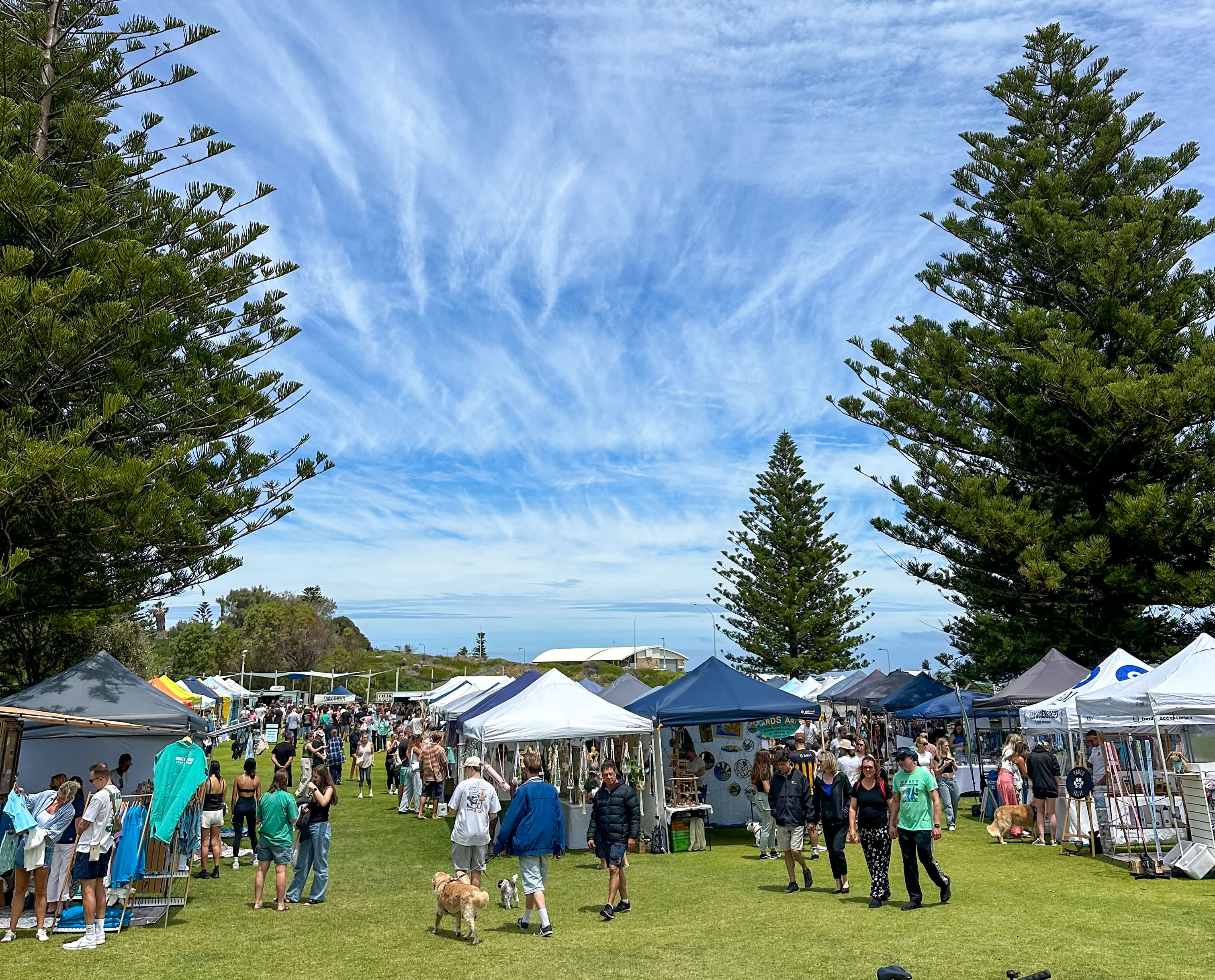 An outdoor community market setup features rows of white and blue pop-up vendors tents stretching along lush green lawn on the left side.