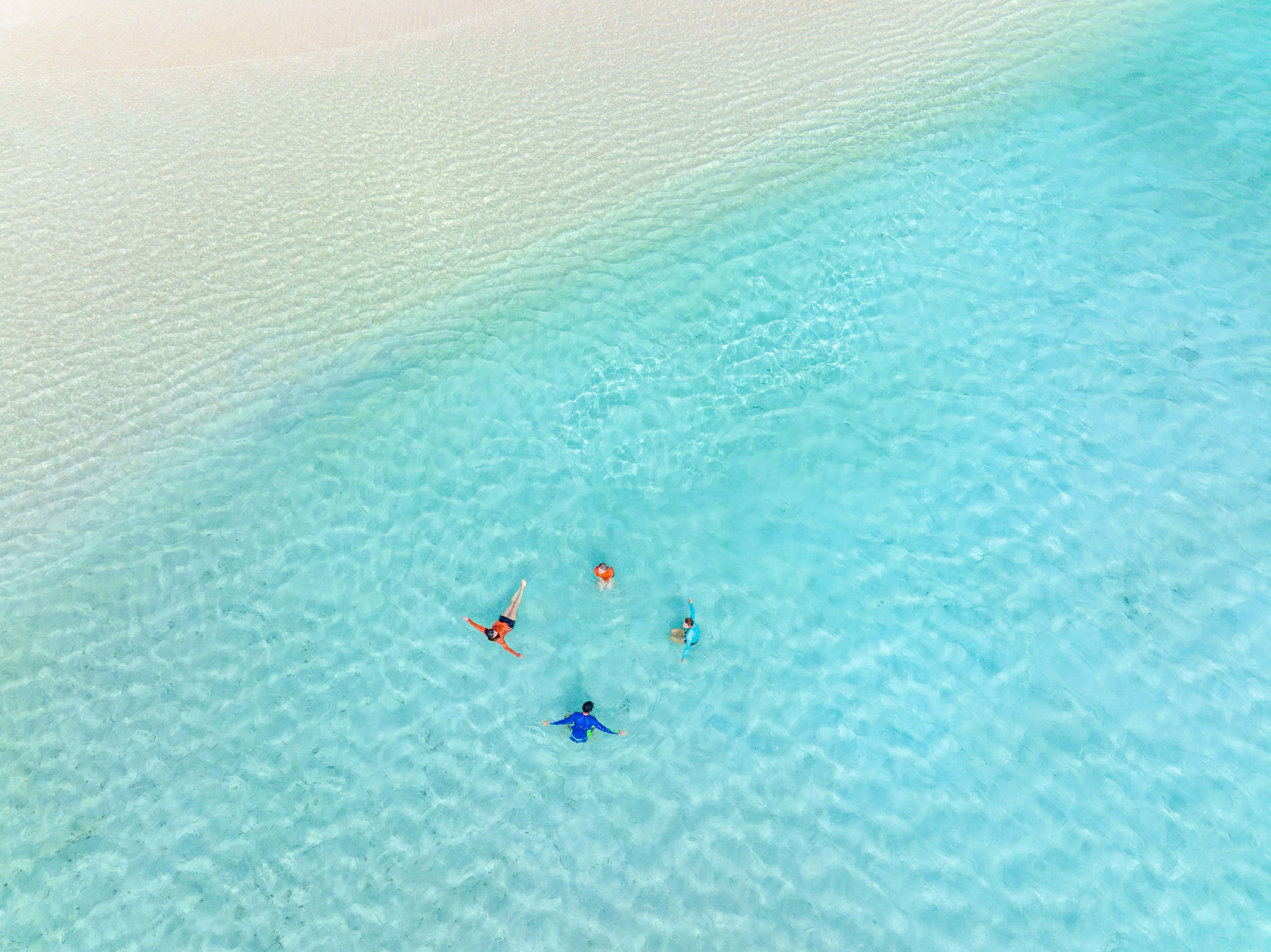 An aerial view of four people swimming in crystal clear water.