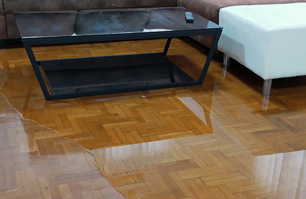 https://res.rac.com.au/rac-horizons/image/upload/v1741664366/Article%20media/Dealing_with_a_burst_water_pipe_at_home_Content_Image_1_io0mg6.jpg