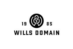 MB_Wills Domain