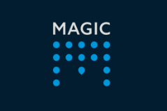 Magic Hand Carwash Logo